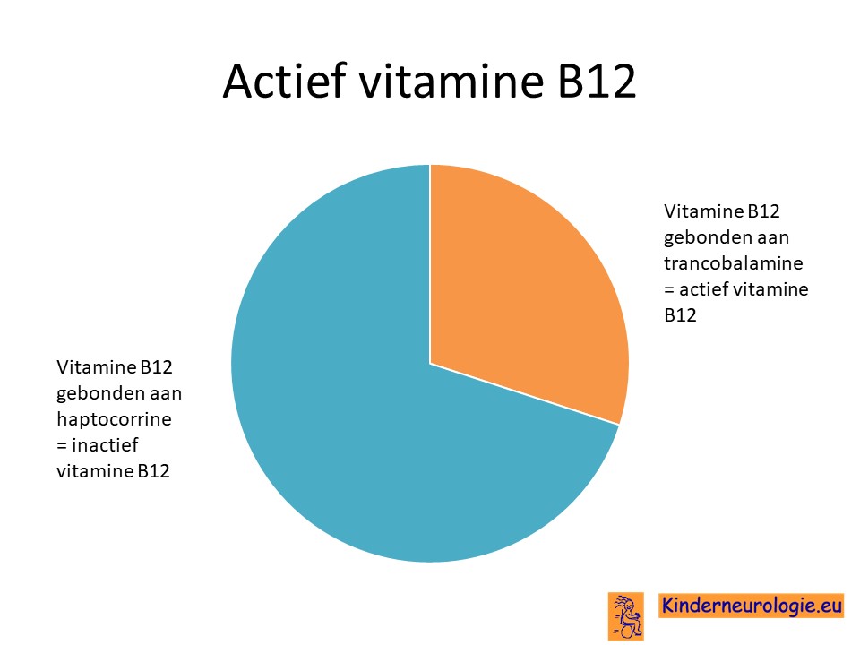 helling Flikkeren balkon Vitamine B12 deficiëntie