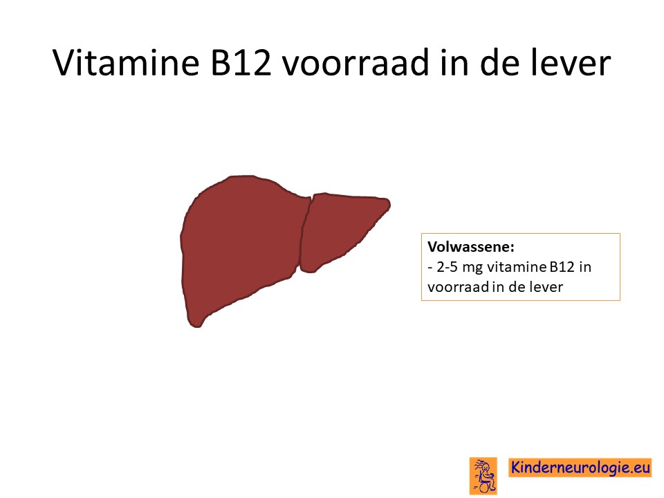Gewaad envelop Stijg Vitamine B12 deficiëntie