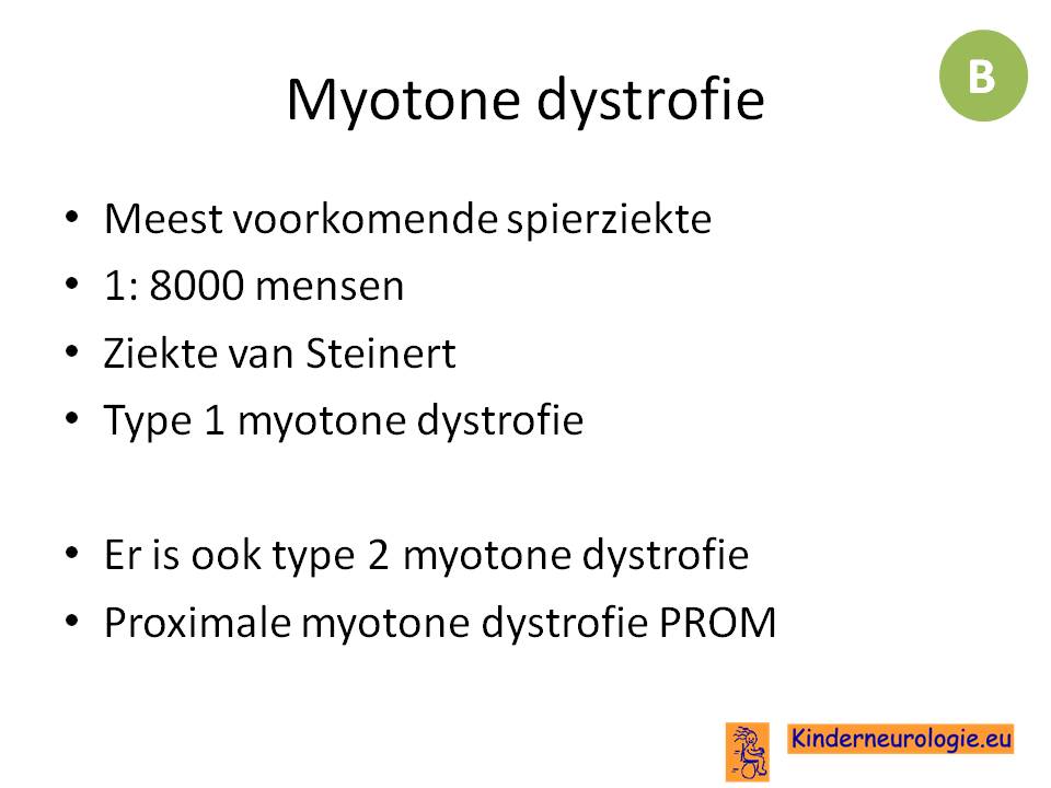 myotone dystrofie 2