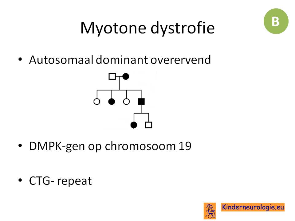 overerving myotone dystrofie